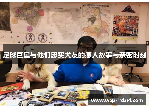 足球巨星与他们忠实犬友的感人故事与亲密时刻
